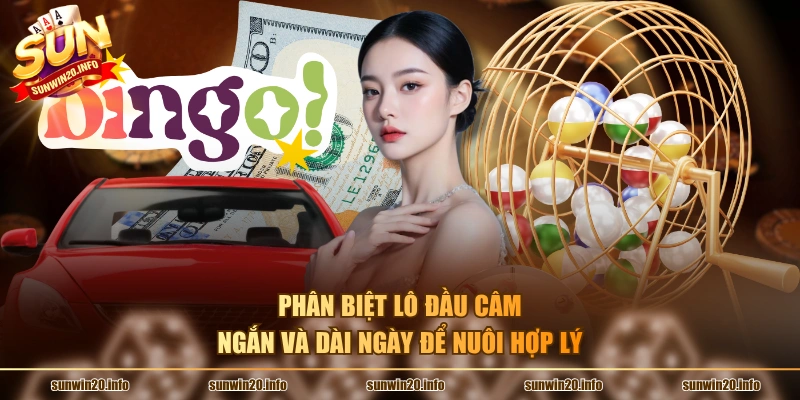 Phân biệt lô đầu câm ngắn và dài ngày để nuôi hợp lý